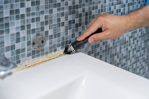 Best Mold Remediation  in Kenner, LA